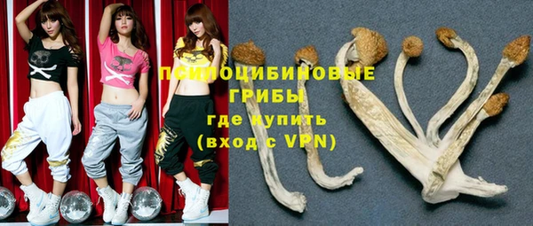 ПСИЛОЦИБИНОВЫЕ ГРИБЫ Зеленокумск