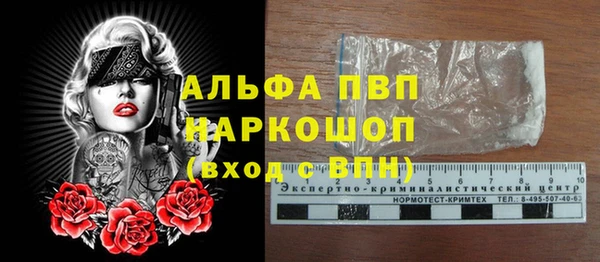 apvp Каменногорск