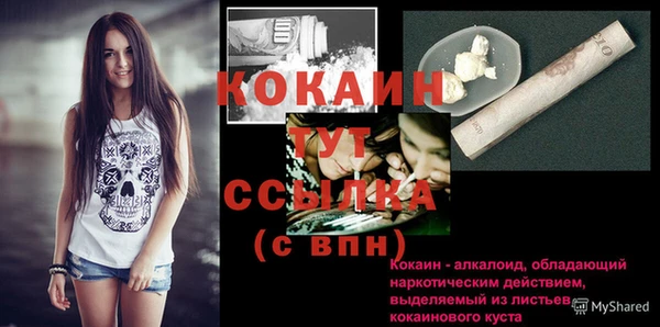 трава Инта