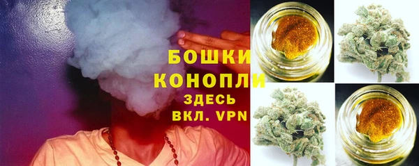 ПСИЛОЦИБИНОВЫЕ ГРИБЫ Зеленокумск