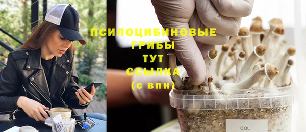 амф Саяногорск