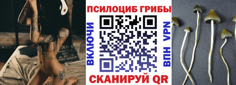 Галлюциногенные грибы GOLDEN TEACHER  Кизилюрт 