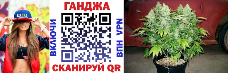 Каннабис индика  Кизилюрт 
